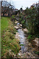 Stream at Hyde, Winchester, Hampshire