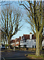 Housing on Ednam Road, Goldthorn Park Estate, Wolverhampton