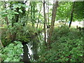 Stream passing underneath Blackbridge Lane