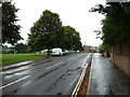 A wet August afternoon in Blackbridge Lane