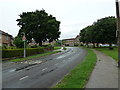 Roundabout ahead in Blackbridge Lane