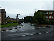 TQ1630 : Looking from Blackbridge Lane into Jockey Mead by Basher Eyre