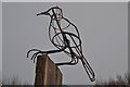 Bird Sculpture Brock Hill Country Park