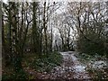 Footpath on the outskirts of Afon Village, Rogerstone