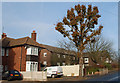 Dudley Wood Road, Dudley Wood