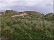NC3969 : Marram Grass Covering the Sand Dunes of An Fharaid by Hilmar Ilgenfritz