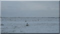 Snow covering field near Nash