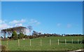 Ridgetop woodland and pasture next to the Carrickinab Road