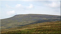 NY7032 : Grassy moorland south-west of Little Dun Fell by Trevor Littlewood