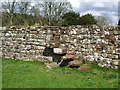 Lanercost Priory, Steps