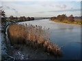 The frozen Weaver Navigation near Catton Hall