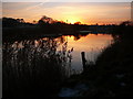 The Weaver Navigation at dusk north of Weaverham