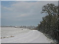 Farm track to Great Pedding Farm