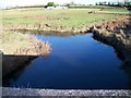 The Blackstaff River above Blackstaff Bridge