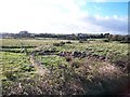 Grazing land around the head of Dundrum Inner Bay