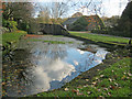 Moat at Old Hall Farm