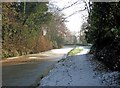 Staffordshire & Worcestershire Canal near Gilgal Bridge