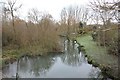 Swift ditch from the bridge