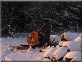 Woodcutting, Aberbothrie