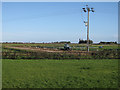 TL5186 : Vegetable field, Dunkirk by Hugh Venables