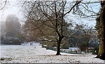 J3372 : Snow, Botanic Gardens, Belfast by Albert Bridge