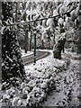 Talbot Woods: Leven Avenue in the snow