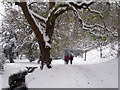 Snowy path through Alexandra Park