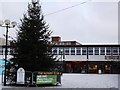 Christmas tree in Talisman Square