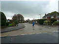 Looking from Ashurst Drive into Falmer Avenue