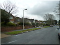 Houses in Ashurst Drive