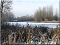 Ford Green Nature Reserve in winter