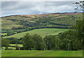 Farmland near Edlingham (1)