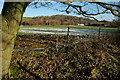 Farmland near Whalley Farm