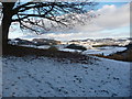 Bench overlooking the Vyrnwy valley