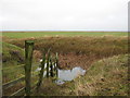 TQ9719 : Fence meets drainage channel near Camber by David Anstiss