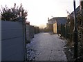 Icy Alley