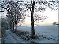 Roman Road Bridleway