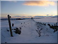 An inviting ski trail