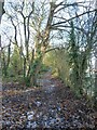 Footpath towards the Stourbridge Road