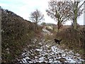 The bridleway towards Hoccum