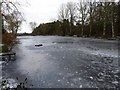 Hoccum Pool, near Barnsley