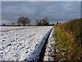 Footpath towards Burcote