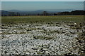 View to the Vale of Gloucester