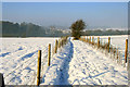 Path toward Brinsley