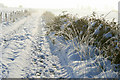 Frost and snow on a farm track