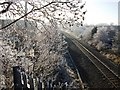 SP2971 : Frost alongside railway line by John Brightley