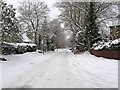 Warren Road in the snow, looking west