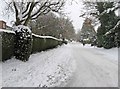 Warren Road in the snow, looking east