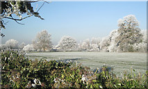 SP3065 : Hoar frost, Jephson's Farm by Robin Stott
