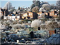 Frosty scene, Odibourne allotments and Lower Ladyes Hills